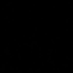 Meet your Posher, Brody